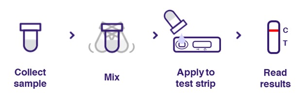 Workflow (GenoImmu)